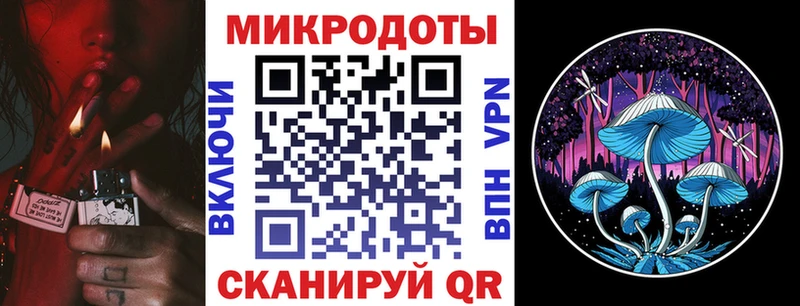 хочу наркоту  Пугачёв  Галлюциногенные грибы MAGIC MUSHROOMS 